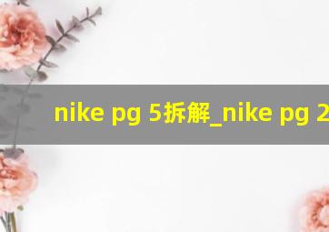 nike pg 5拆解_nike pg 2.5